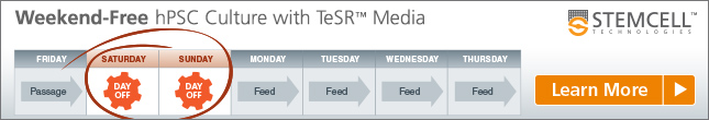Weekend-Free Culture hPSCs with mTeSR™1 or TeSR™-E8™